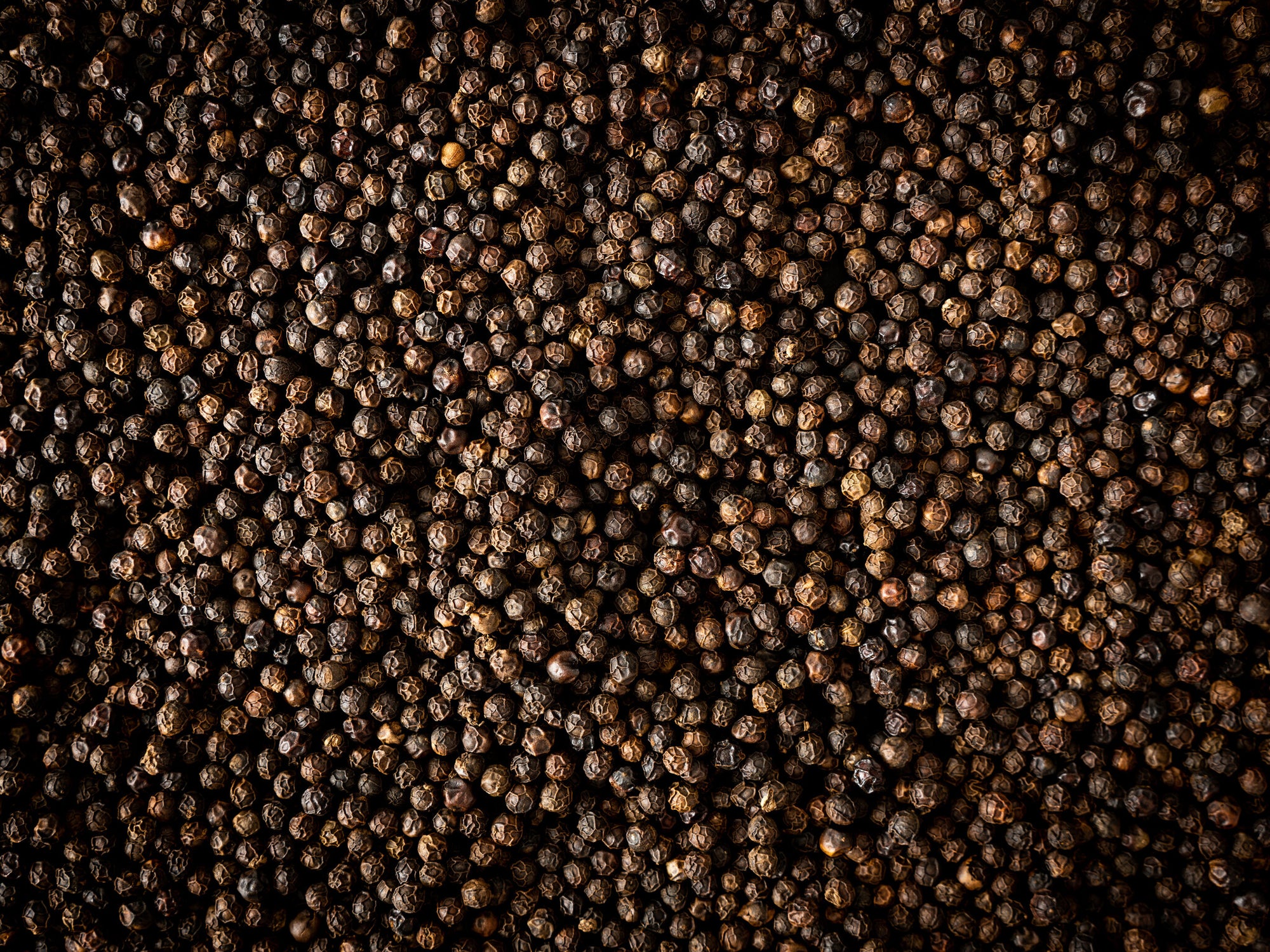 Peugeot - Kampot - zwarte peper - 3 x 20g