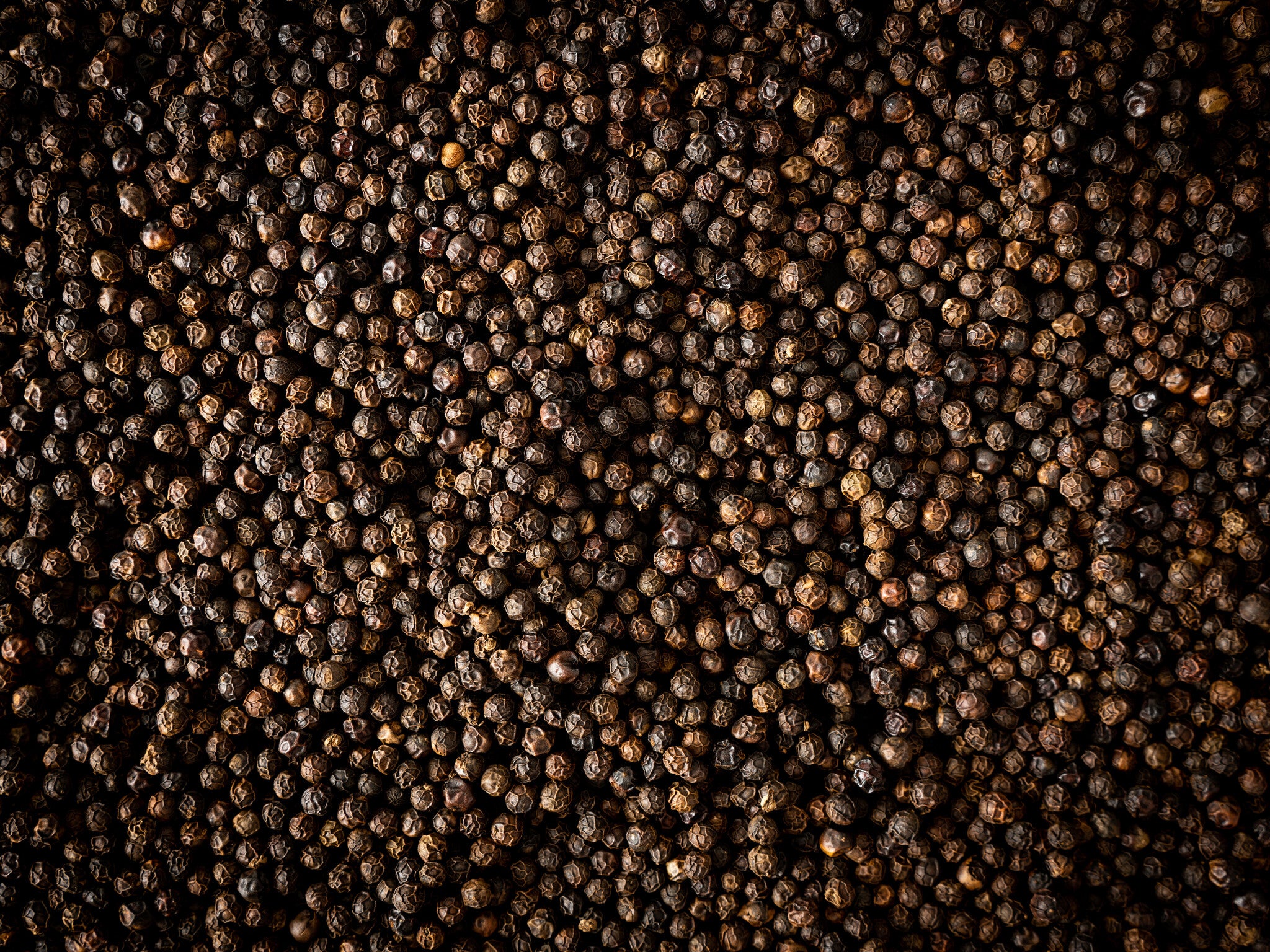 Peugeot - Kampot - zwarte peper - 3 x 20g