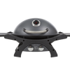 Pit Boss | Sportsman 2 Grey