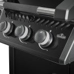 NapoleonFreestyleF365DPKBlackGasBBQ3