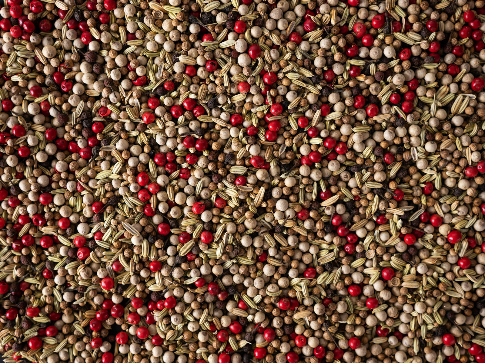 Peugeot - Frisse melange peper - 3 x 20g