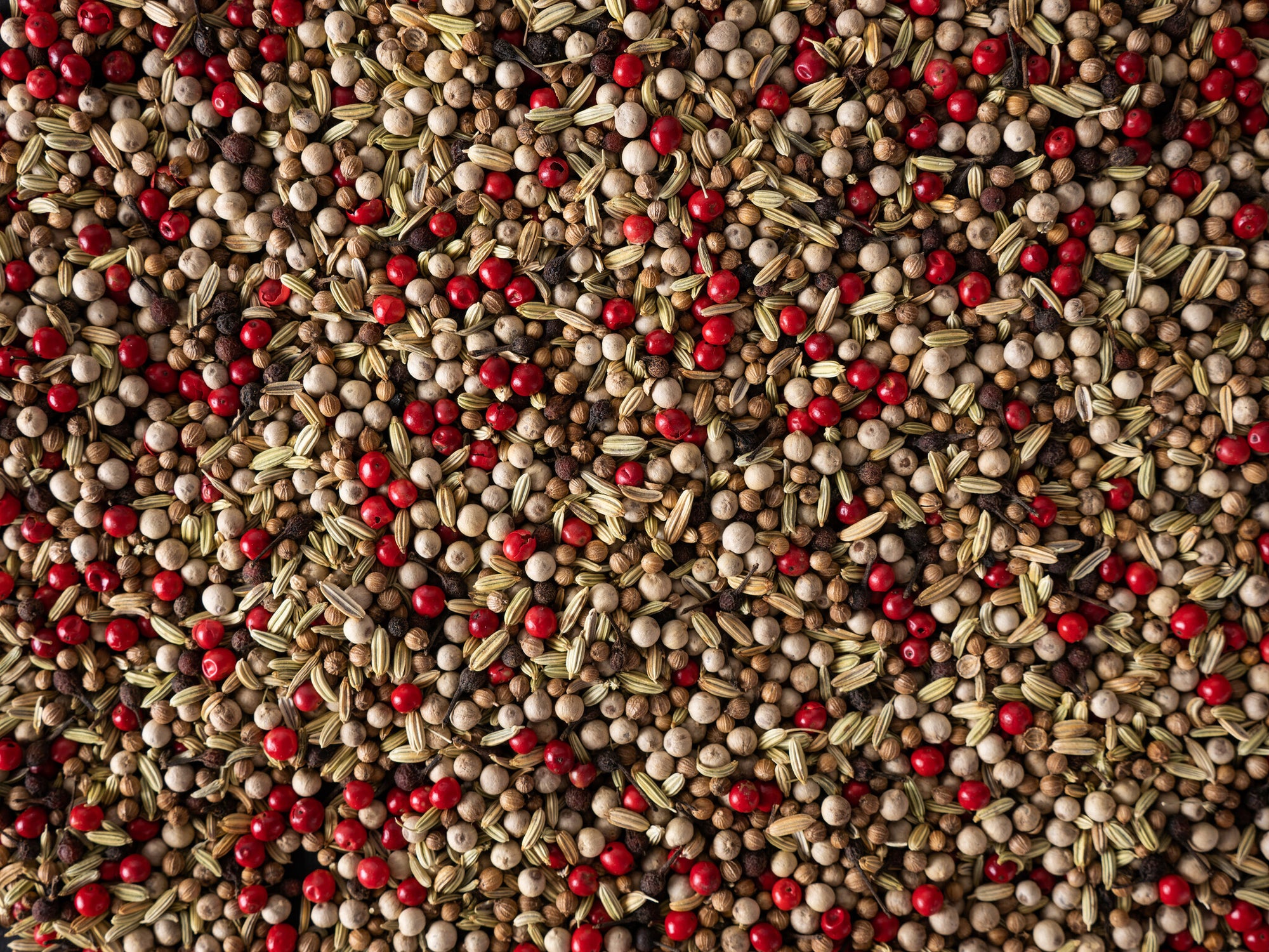 Peugeot - Frisse melange peper - 3 x 20g