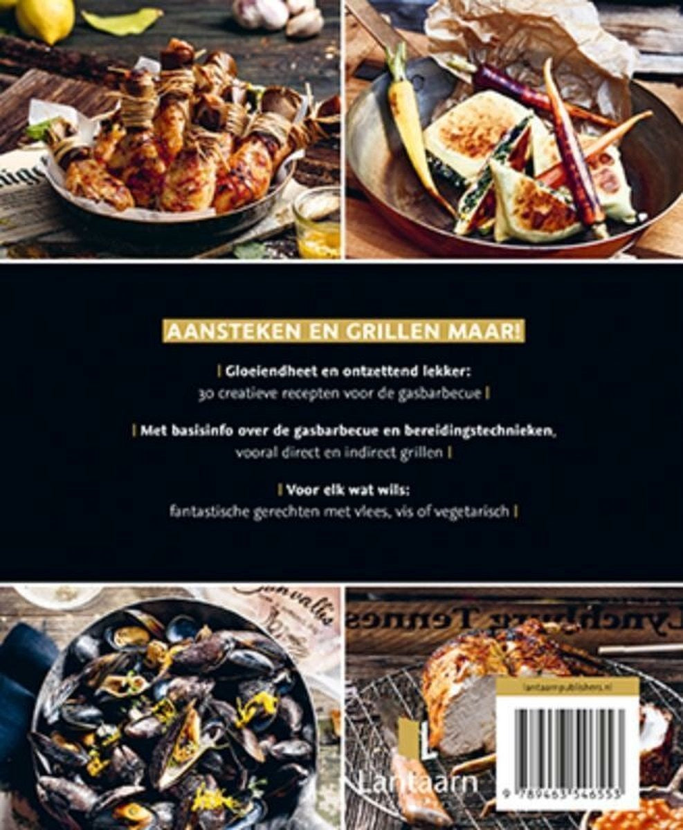 ja-ik-grill-gas-bbq-foto-2