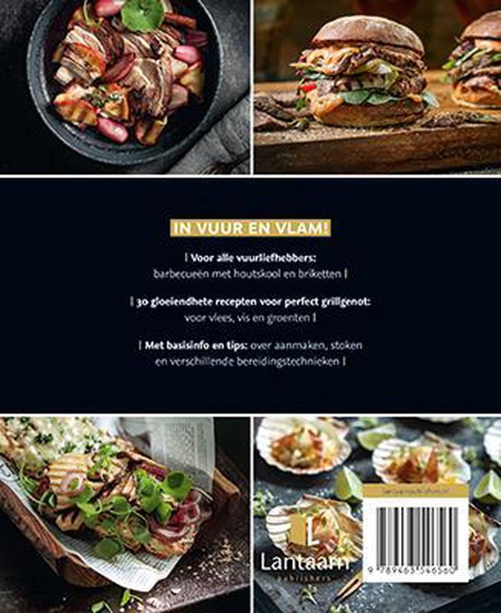 ja-ik-grill-met-houtskool-en-briketten-foto-2