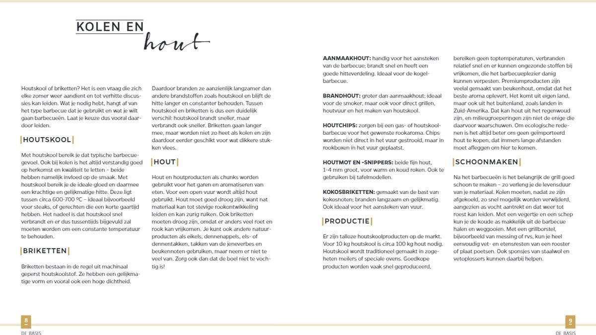 ja-ik-grill-met-houtskool-en-briketten-foto-4