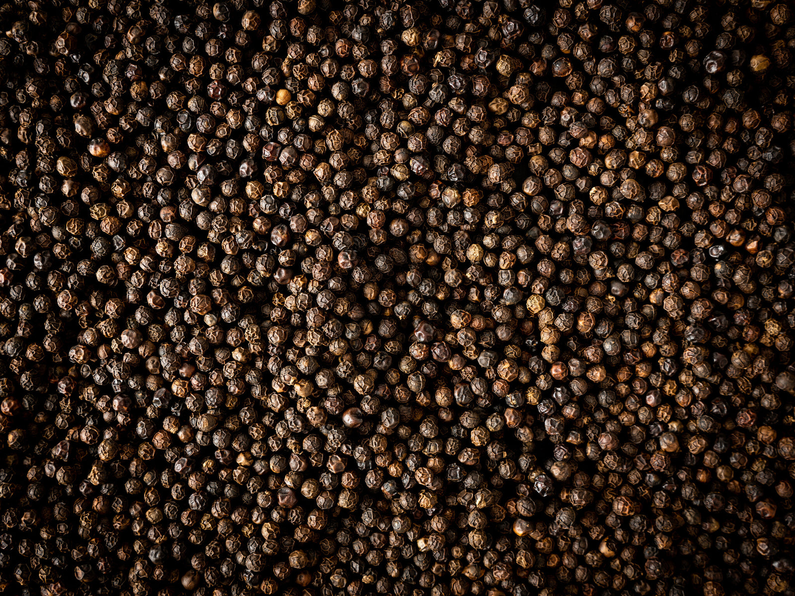 Peugeot - Kampot - zwarte peper - 3 x 20g