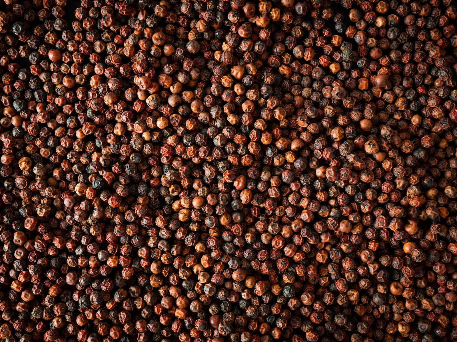Peugeot - Kampot - rode peper - 3 x 20g