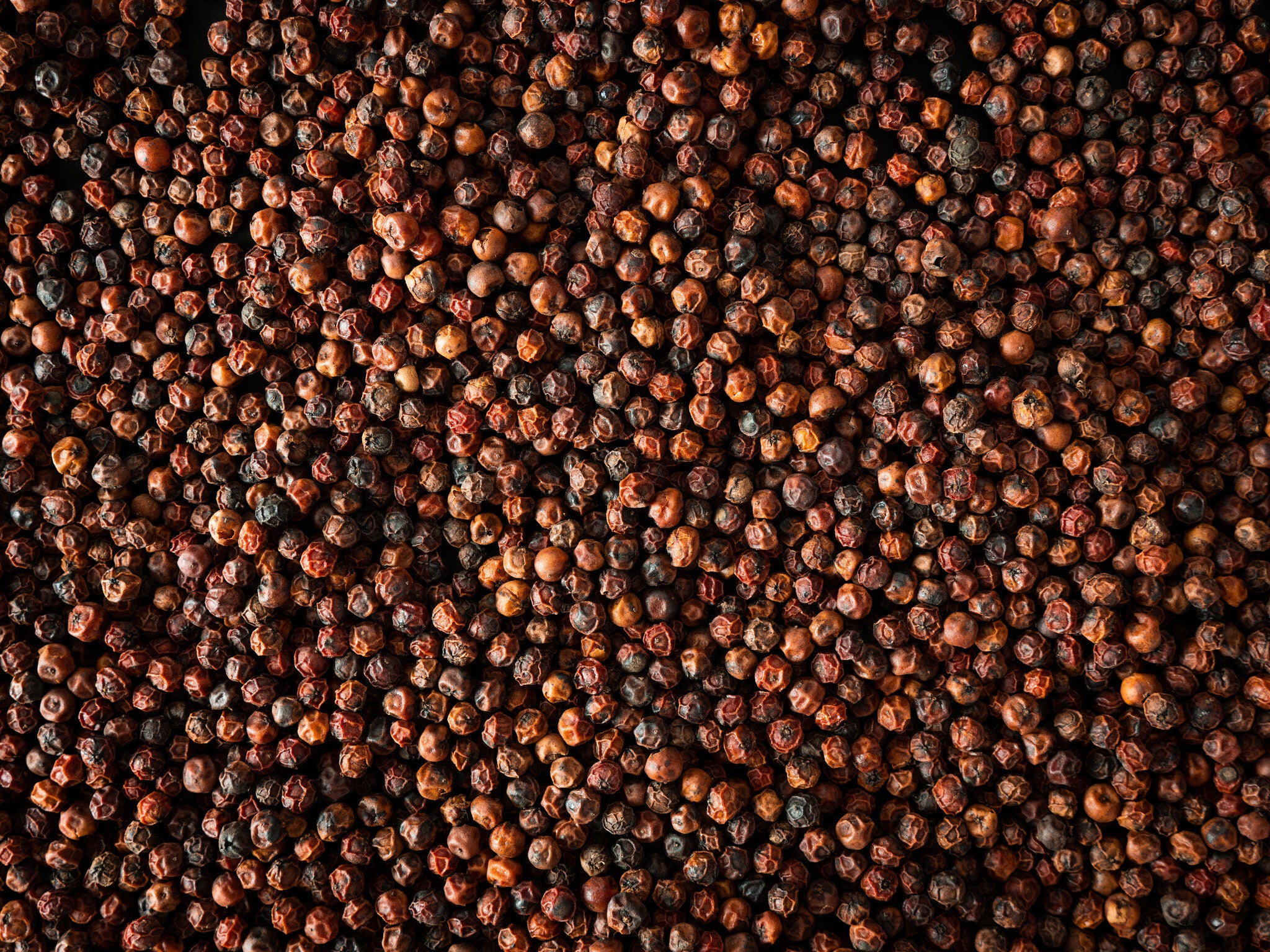 Peugeot - Kampot - rode peper - 3 x 20g