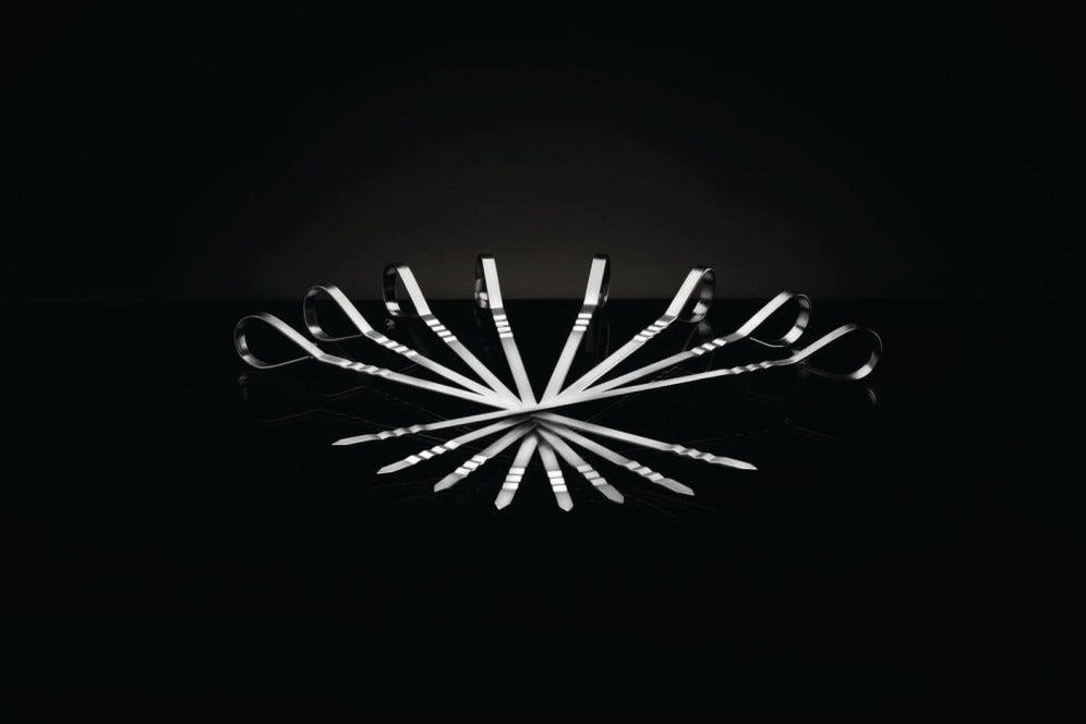 napoleon-multi-rvs-shaslick-set-8-stuks-foto-2