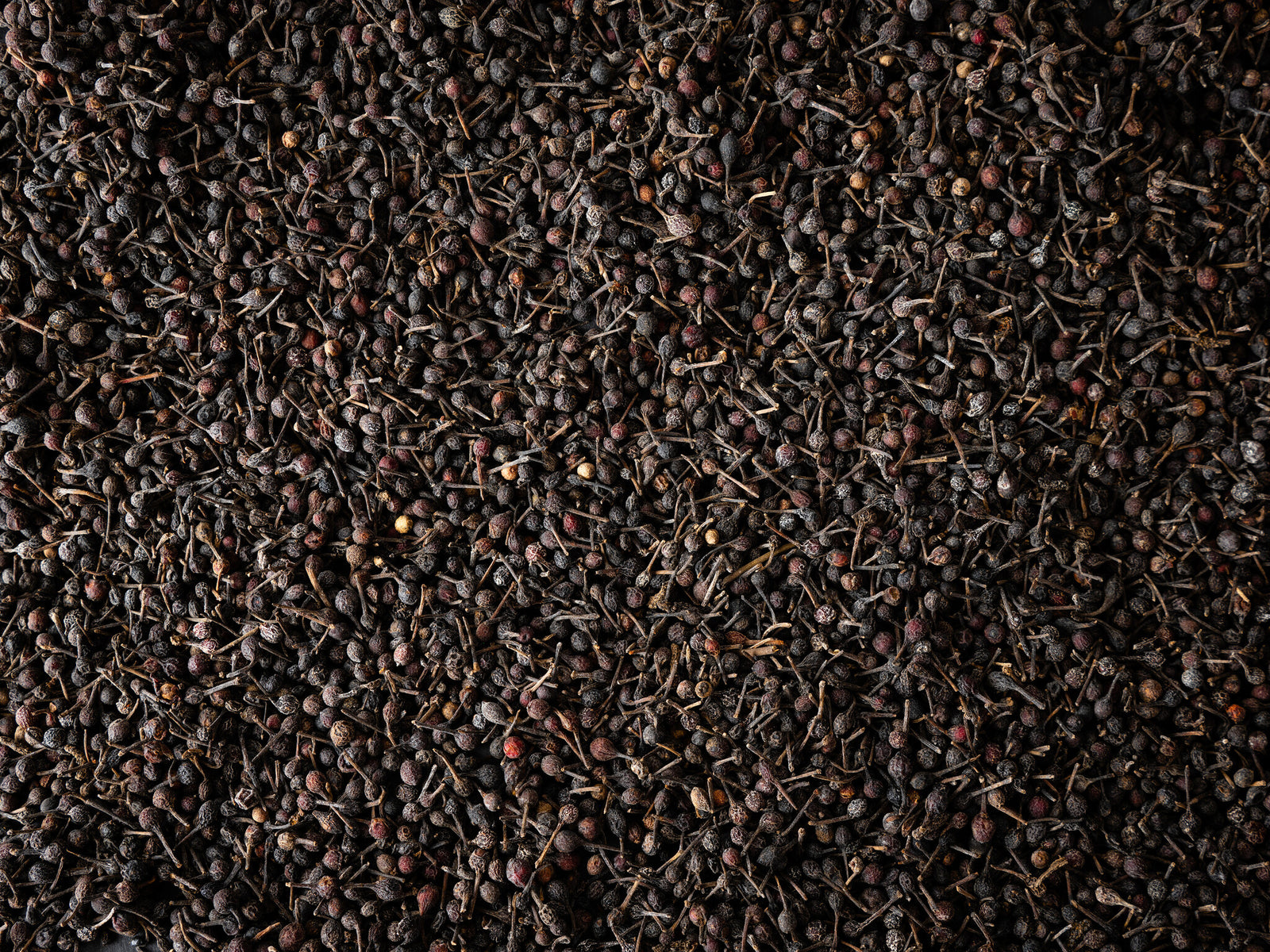 Peugeot - Voatsiperifery Wilde peper - 3 x 20g