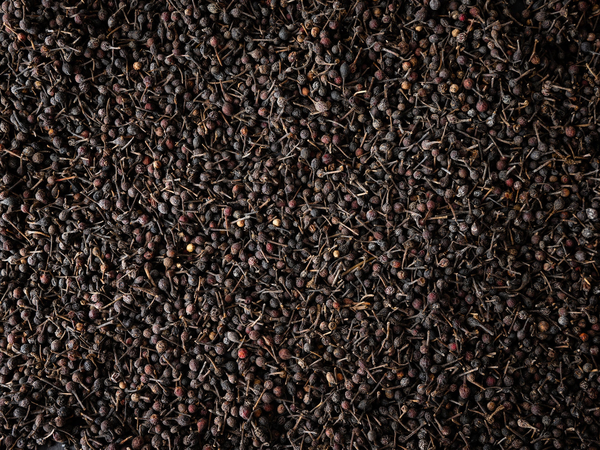 Peugeot - Voatsiperifery Wilde peper - 3 x 20g