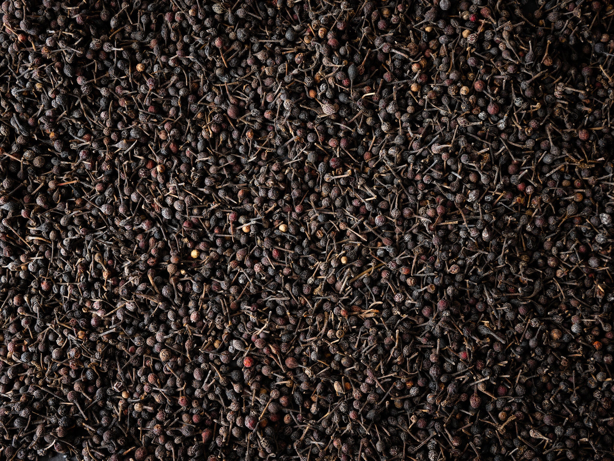 Peugeot - Voatsiperifery Wilde peper - 3 x 20g